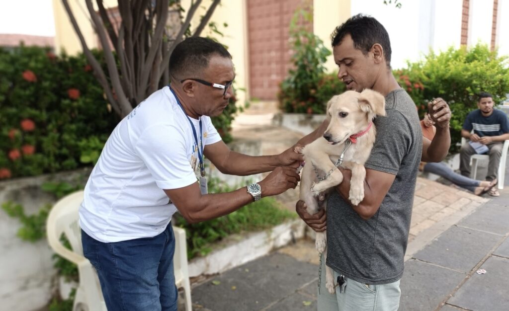 Timon promove ação com serviços gratuitos para cães e gatos neste sábado (9)