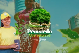 Secretaria de Estado do Meio Ambiente e Recursos Hídricos do Piauí inicia distribuição de mudas com projeto ambiental em Teresina