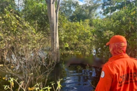 Jovem é encontrado morto no Rio Gurguéia após quatro dias de buscas no Sul do Piauí