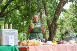 Feira da agricultura familiar movimenta Parnaíba com produtos regionais e atrações culturais neste sábado (2)