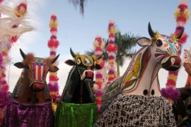 Dia do Bumba Meu Boi celebra tradição e fortalece a cultura popular em Teresina