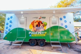 Piauí lança programa estadual para ampliar castrações e fortalecer proteção aos animais