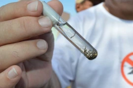 Prefeitura cria comitê técnico para reforçar combate à dengue, zika e chikungunya em Teresina