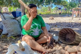 Reconhecimento nacional fortalece tradição das quebradeiras de coco babaçu no Piauí