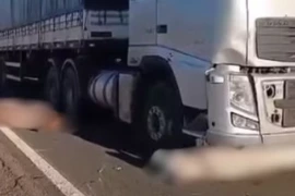 Colisão entre carreta e rebanho deixa seis animais mortos na BR-230, em Fronteiras