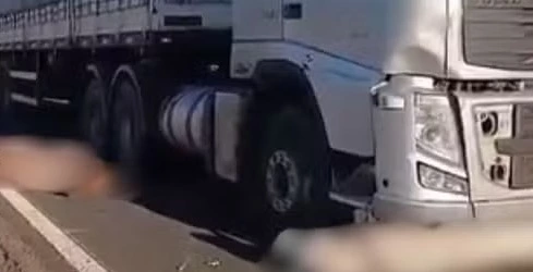 Colisão entre carreta e rebanho deixa seis animais mortos na BR-230, em Fronteiras