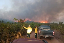 Incêndio atinge mais de mil hectares e dura seis dias no Sul do Piauí