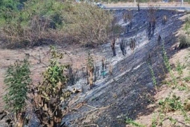 Defesa Civil alerta para aumento do risco de queimadas durante período seco em Teresina