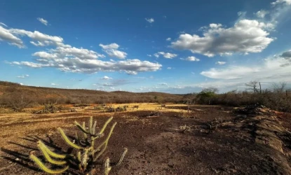 Seca e estiagem levam mais três municípios do Piauí à emergência