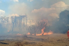 Piauí restringe uso do fogo em 12 municípios por risco de incêndios