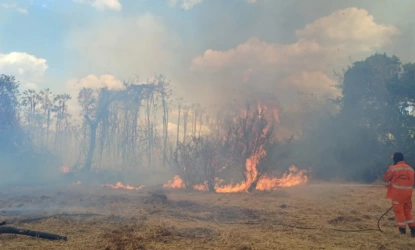 Piauí restringe uso do fogo em 12 municípios por risco de incêndios