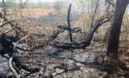 Incêndio em área de vegetação é controlado às margens da BR-135 em Corrente