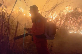 Piauí registra 1.848 focos de queimadas em setembro