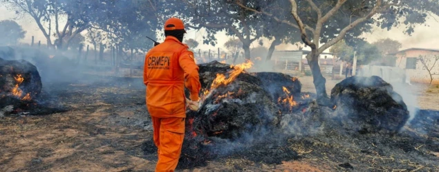 Bombeiros registram quase 6 mil ocorrências de incêndio no Piauí em 2026