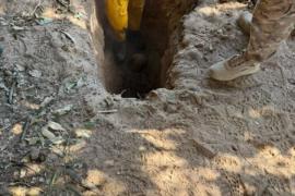 Cão farejador ajuda a localizar corpo de jovem desaparecido em cova na zona Norte de Teresina
