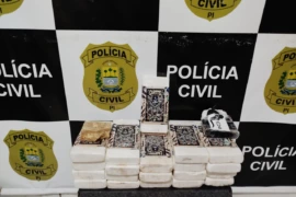Polícia Civil apreende drogas avaliadas em R$ 2 milhões durante operação em Oeiras