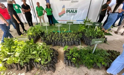 Piauí supera 3,6 milhões de mudas distribuídas e avança na recuperação ambiental