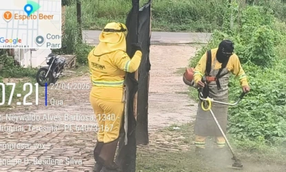 Mutirão de limpeza chega ao Recanto das Palmeiras com serviços integrados