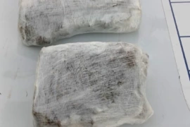 PM apreende quase 1 kg de maconha enterrado em área de mata na zona Norte de Teresina