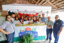 Associação de mulheres de Cocal de Telha recebe certificação para produção artesanal de temperos e doces