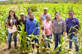 Capacitação sobre Crédito Fundiário reúne técnicos e profissionais da agricultura familiar em Teresina