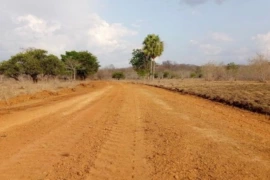 Idepi inicia recuperação de estradas vicinais na zona rural de Demerval Lobão