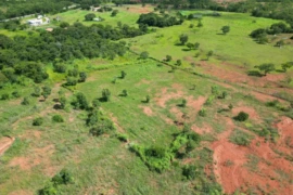 Projeto de recuperação ambiental transforma área degradada e já apresenta resultados em Gilbués