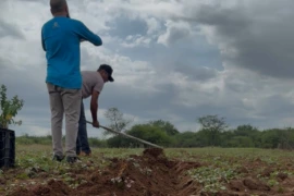 Piauí registra primeiras áreas sem seca após quase dois anos de estiagem
