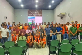 Capacitação orienta municípios do Sul do Piauí sobre prevenção de desastres e acesso a recursos federais