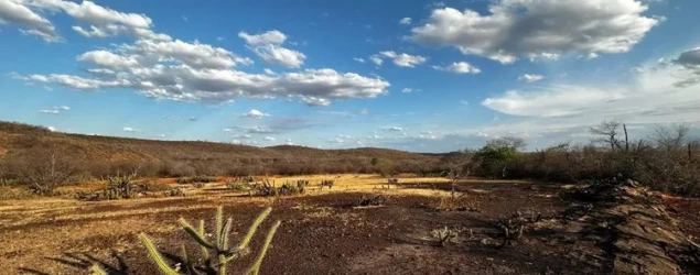 Seca e estiagem levam mais três municípios do Piauí à emergência