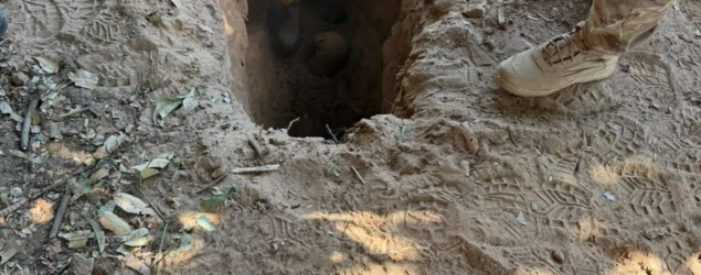 Cão farejador ajuda a localizar corpo de jovem desaparecido em cova na zona Norte de Teresina