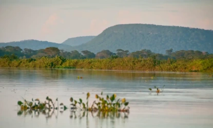Cerrado perde 13,9 milhões de hectares de vegetação nativa às margens de rios em 40 anos